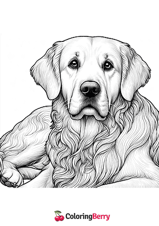 Realistic Golden Retriever Dog Coloring Page