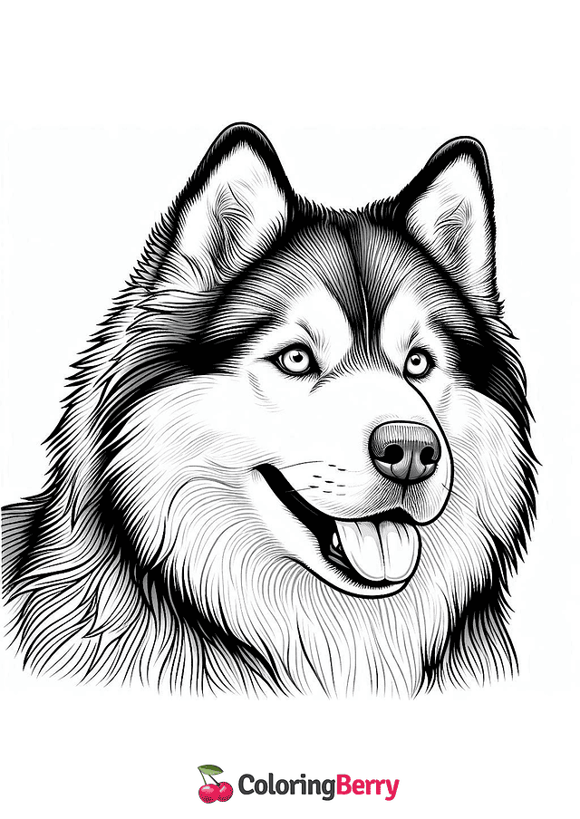 Realistic Husky Coloring Page