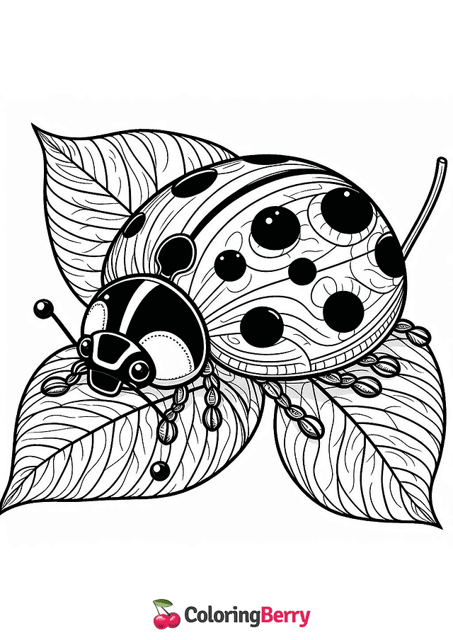 Realistic Ladybug Coloring Page