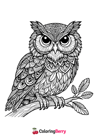 Realistic Owl