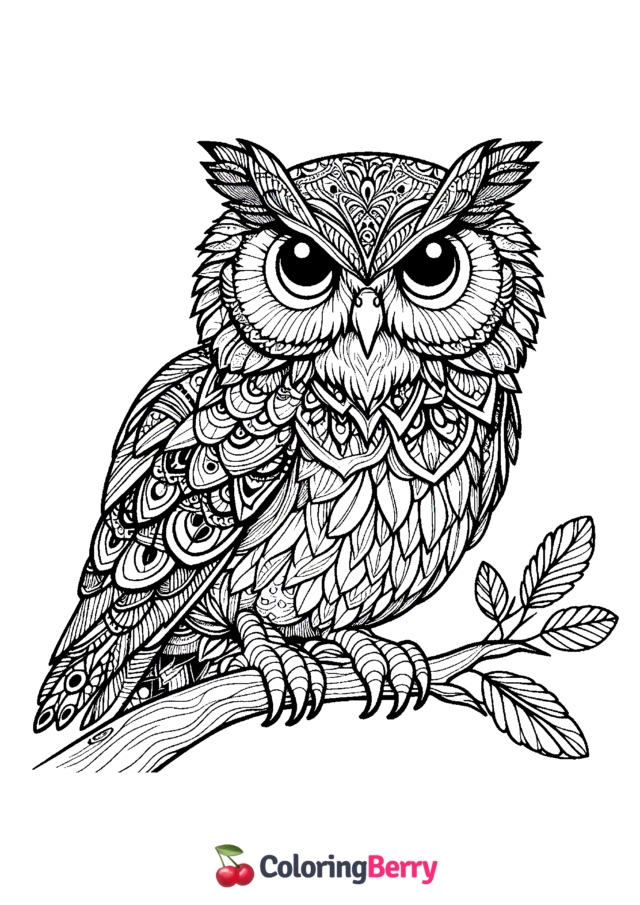 Realistic Owl Coloring Page