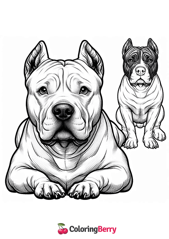 Realistic Pitbull Coloring Page