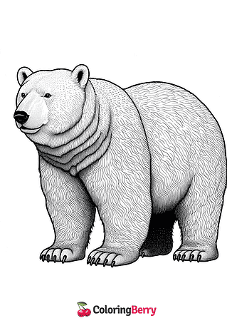 Realistic Polar Bear Coloring Page