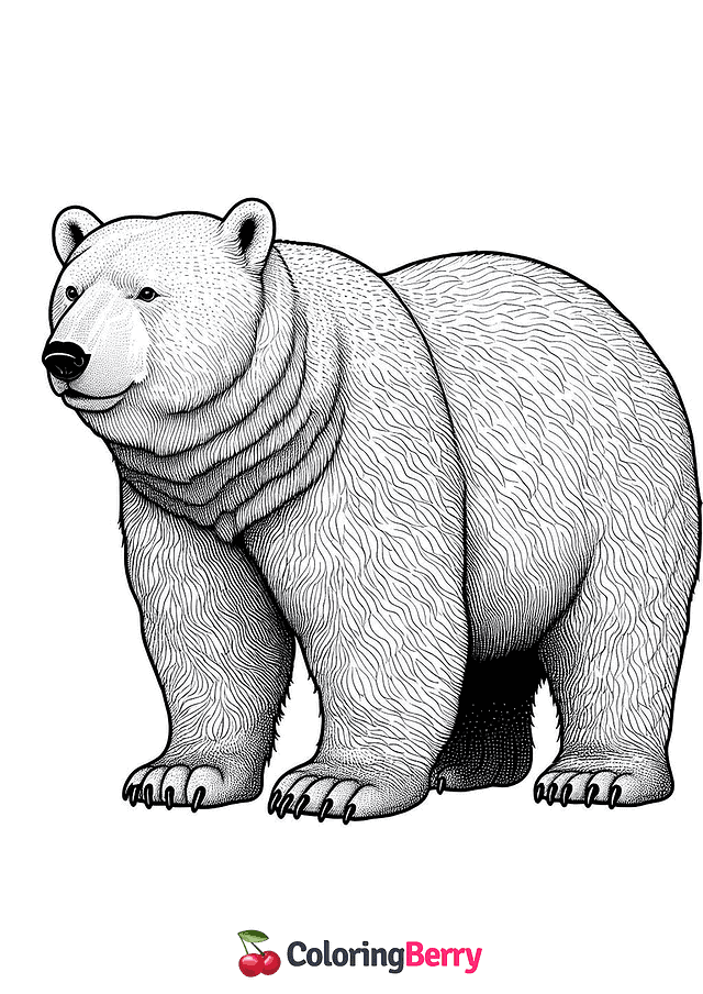 Realistic Polar Bear Coloring Page