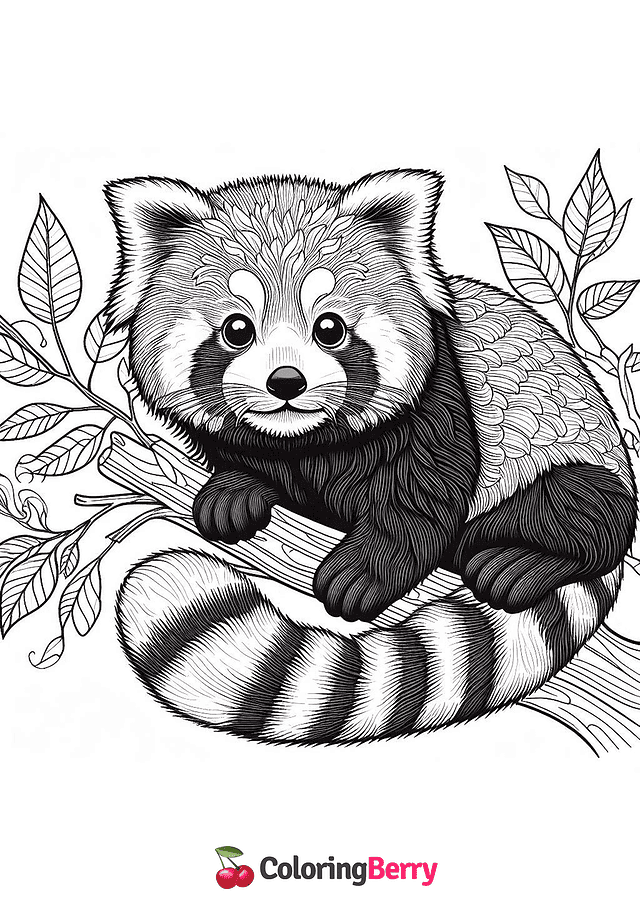 Realistic Red Panda Coloring Page