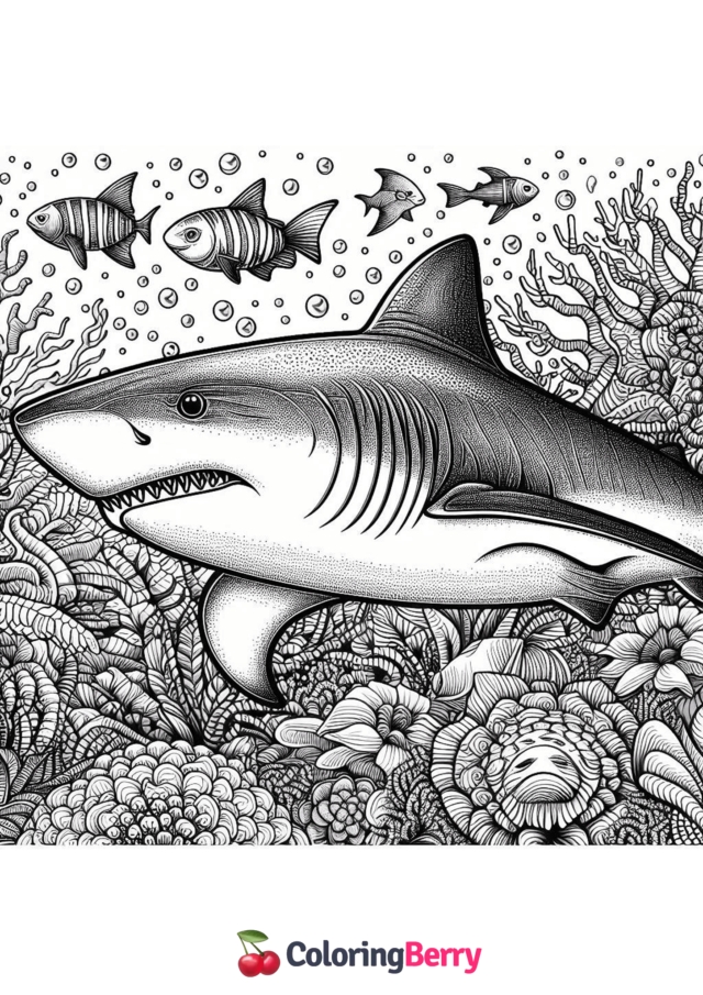 Realistic Shark Coloring Page