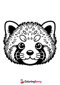 Red Panda Face