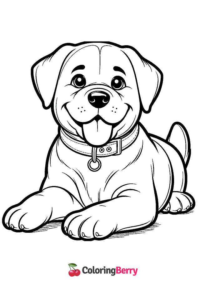 Rottweiler Coloring Page