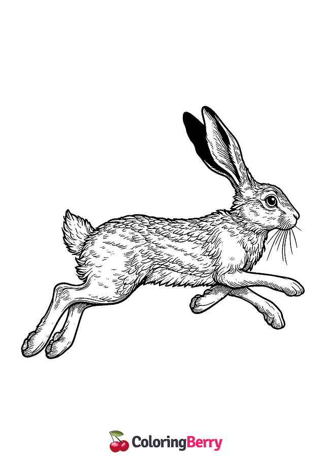 Running Hare Coloring Page