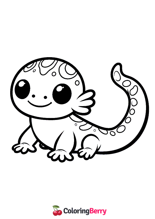 Salamander Cub Coloring Page