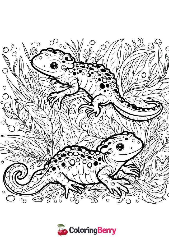 Salamanders Coloring Page