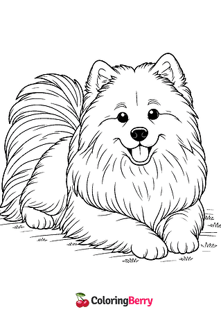 Samoyed Dog Coloring Page