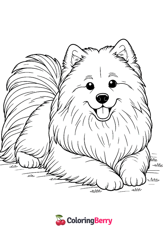 Samoyed Dog Coloring Page