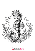 Sea Horse