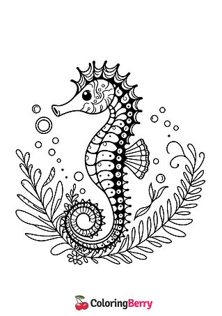 Sea Horse