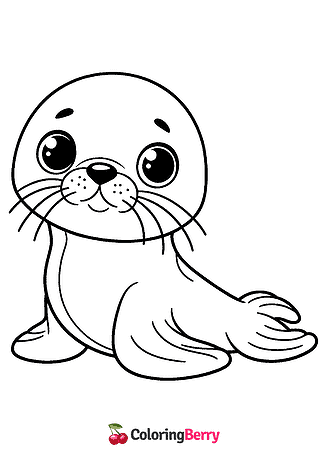 Sea Lion Cub