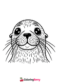 Sea Lion Face