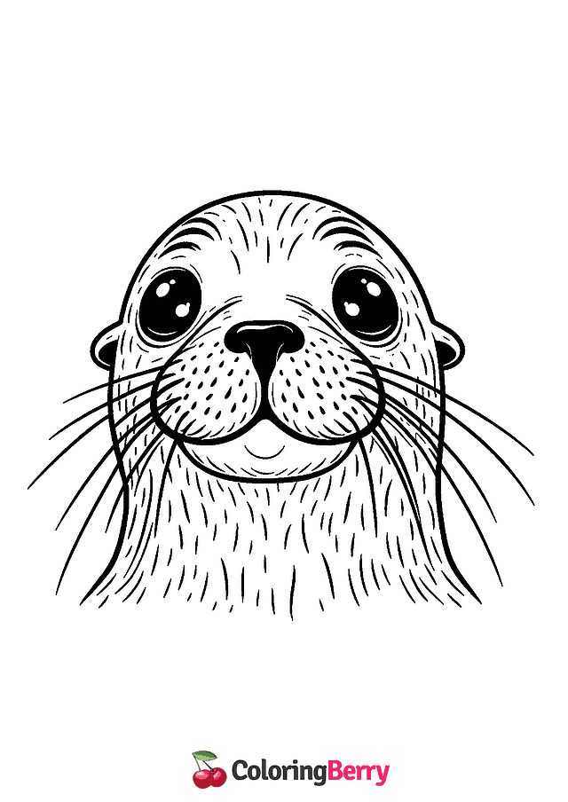 Sea Lion Face Coloring Page