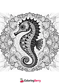 Seahorse Mandala