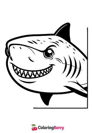 Shark Face