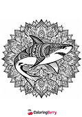 Shark Mandala