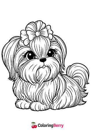 Shih Tzu Coloring Page