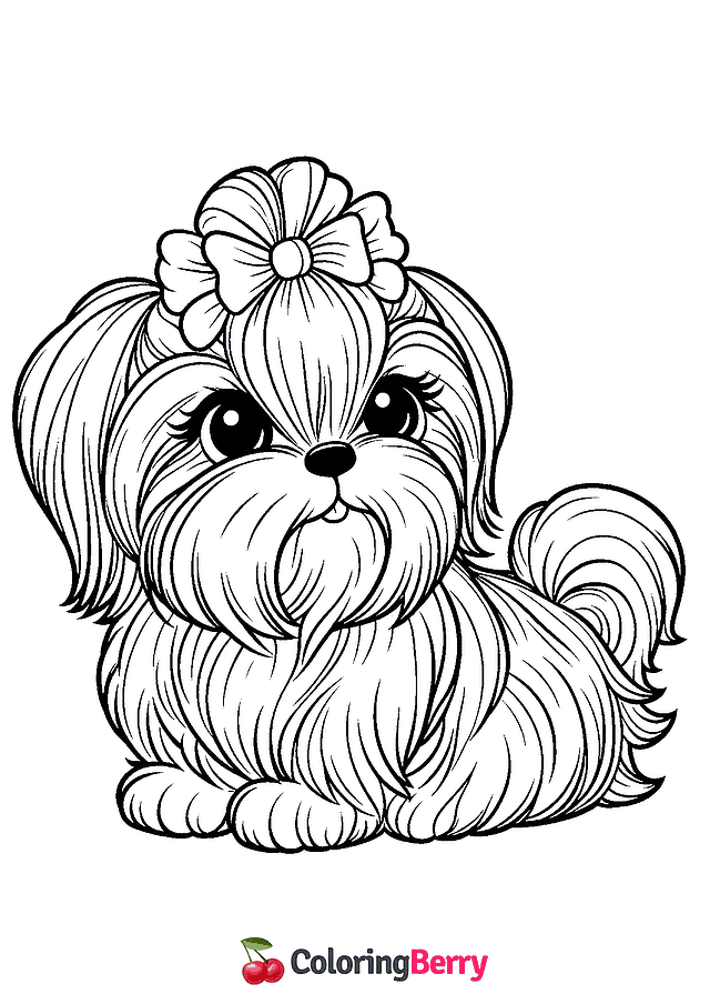 Shih Tzu Coloring Page