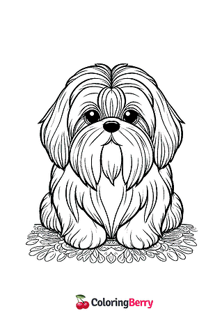 Shih Tzu Dog Coloring Page