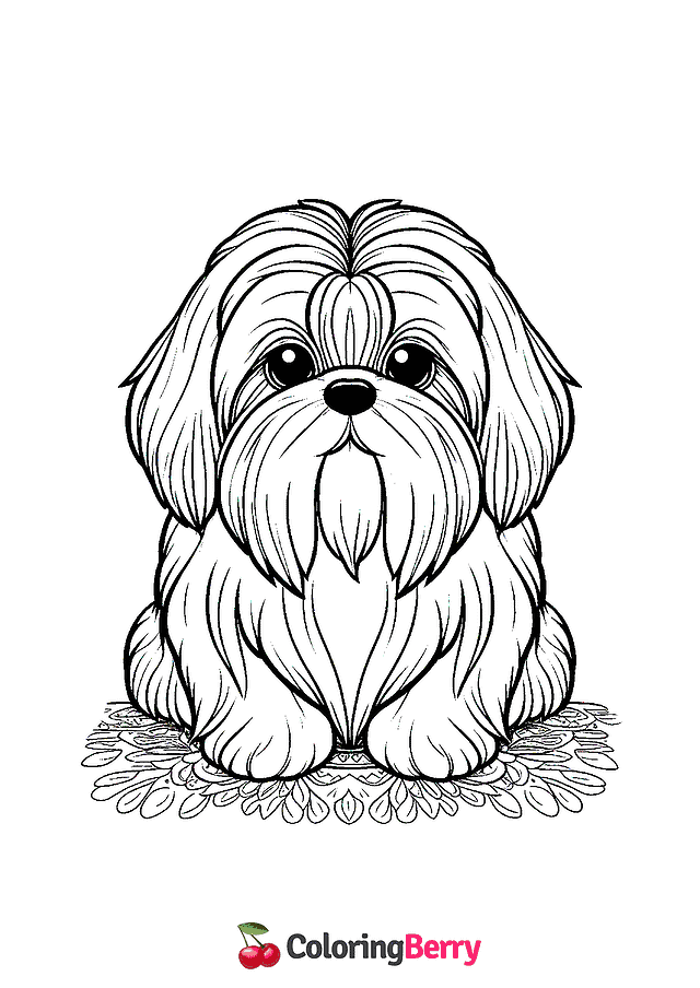 Shih Tzu Dog Coloring Page