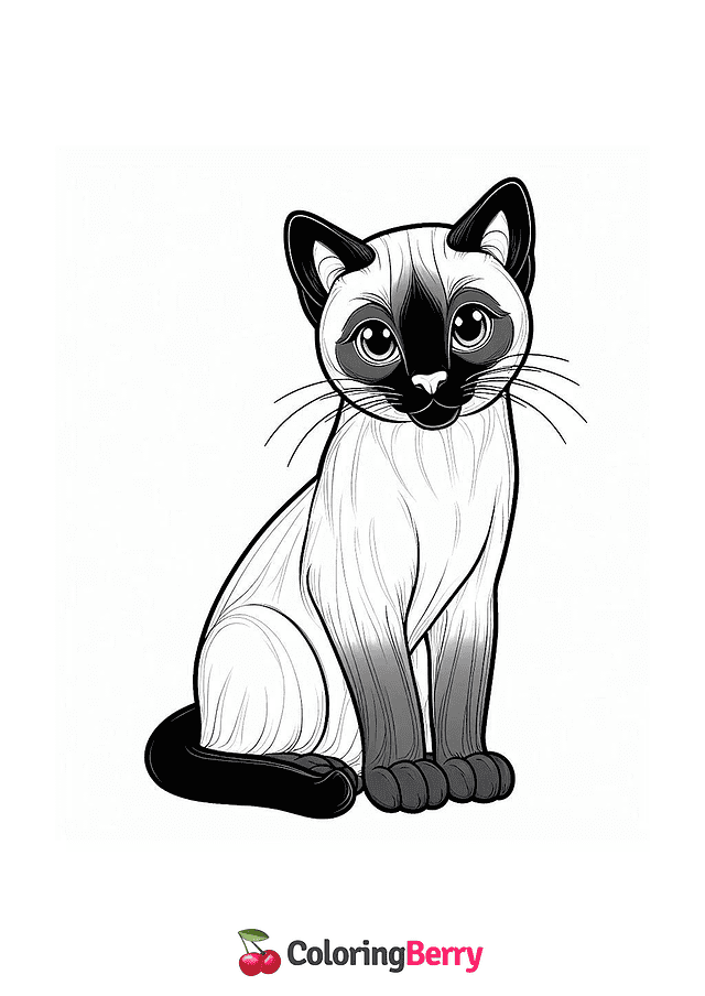 Siamese Cat Coloring Page