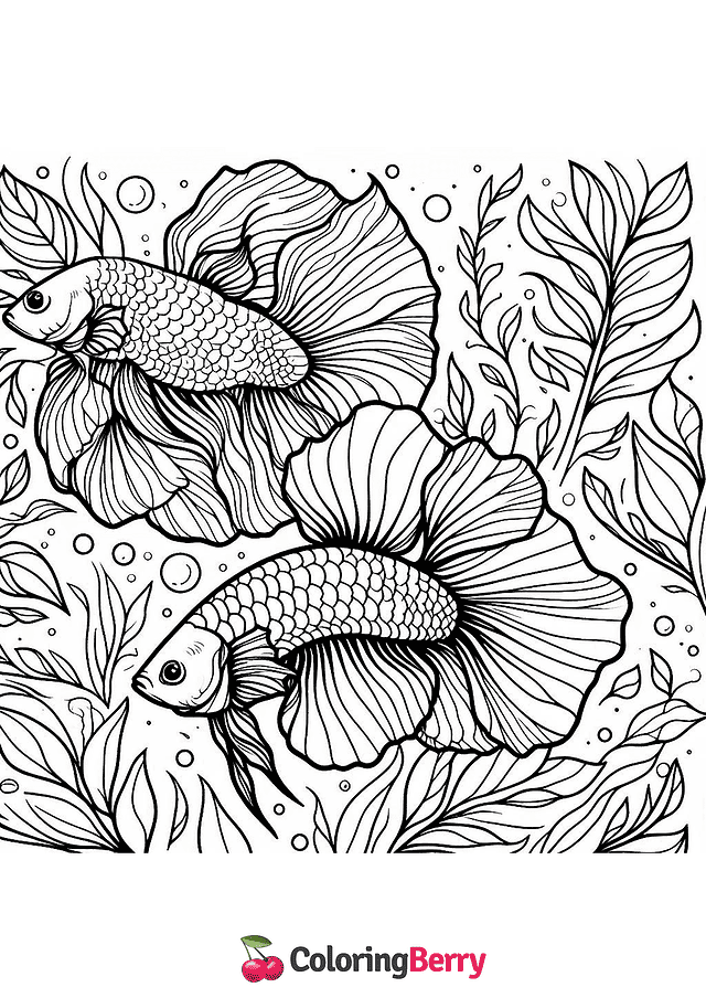 Siamese Fighting Fish Coloring Page