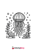 Simple Jellyfish