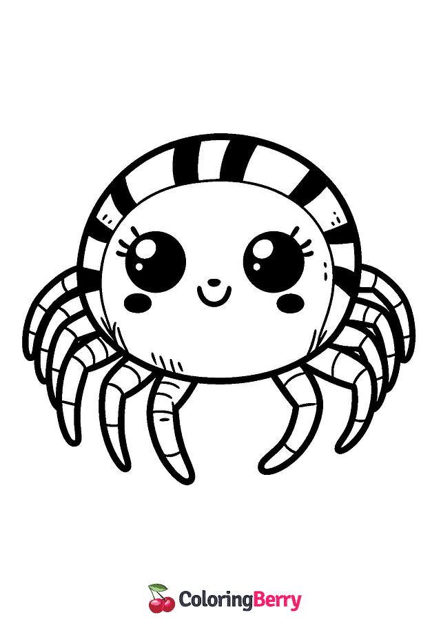 Simple Spider Coloring Page