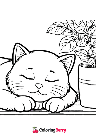Sleeping Cat Coloring Page
