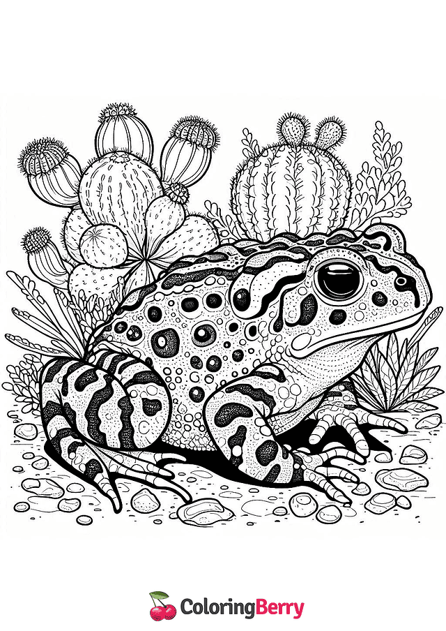 Sonoran Desert Toad Coloring Page