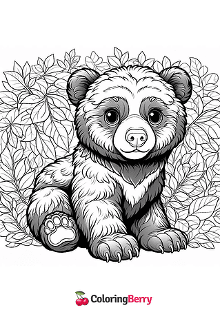 Spectacled Bear Cub