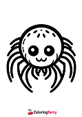 Spider Head