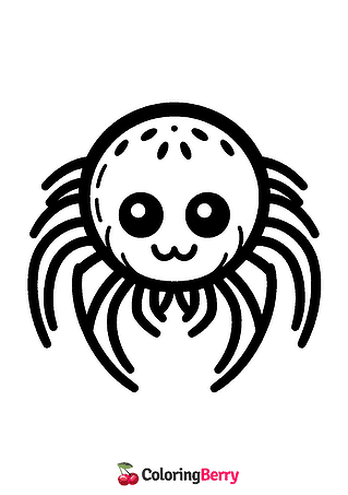 Spider Head