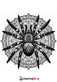 Spider Mandala