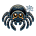 Spiders