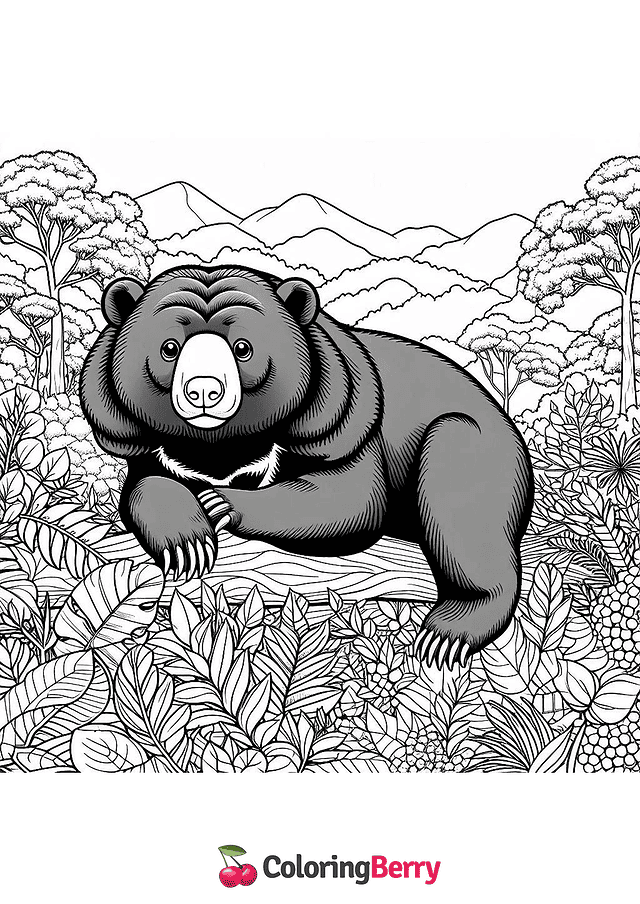 Sun Bear Coloring Page