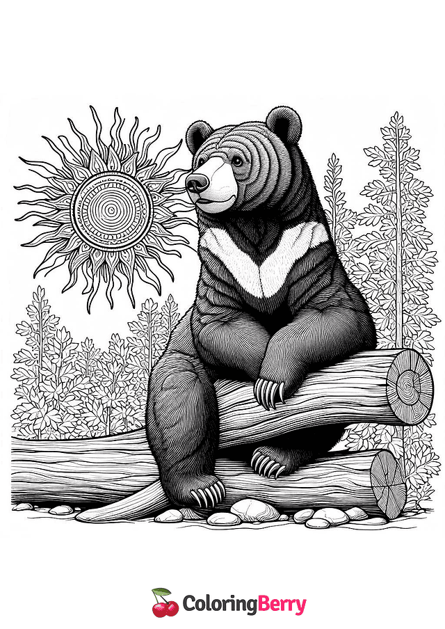 Sun Bear Sitting Coloring Page