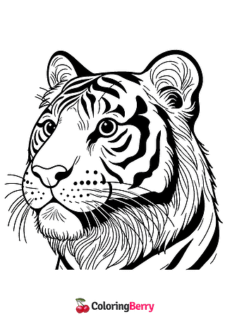 Tiger Head