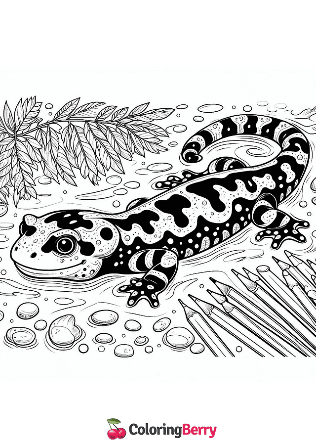 Tiger Salamander Coloring Page