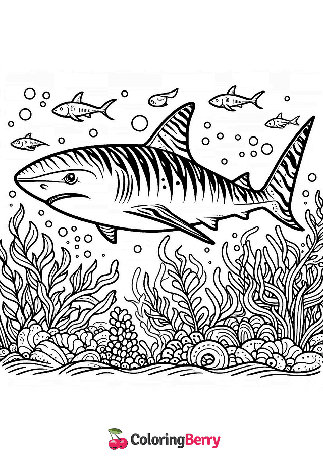 Tiger Shark Coloring Page