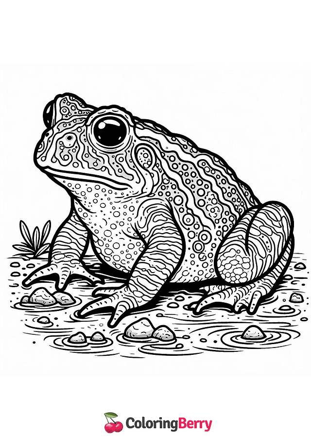 Toad Coloring Page