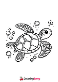 Turtle