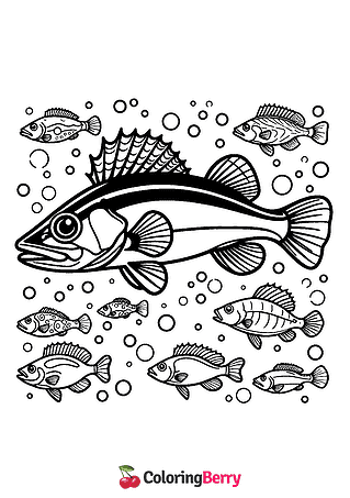 Walleye Fish Coloring Page
