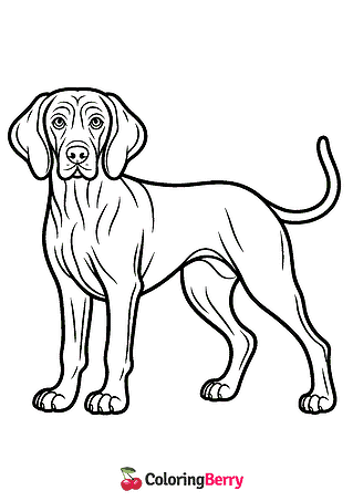 Weimarane Coloring Page