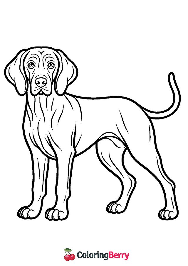 Weimarane Coloring Page